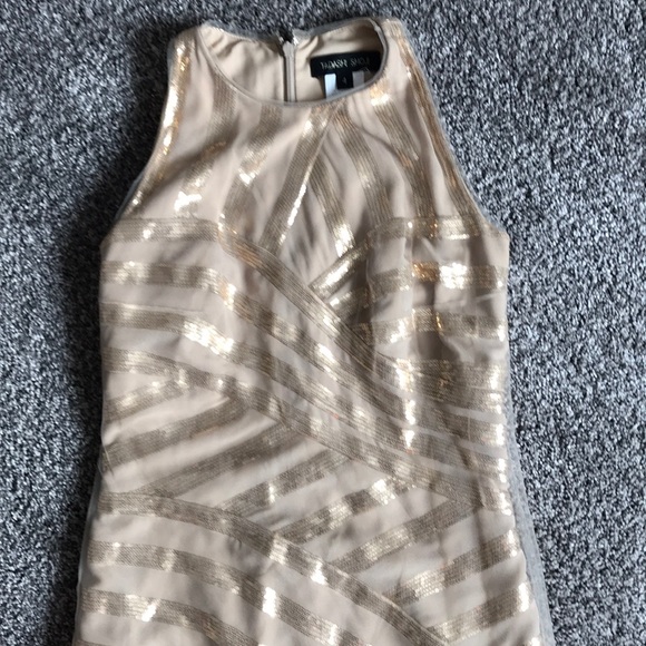 Tadashi Shoji tulle champagne dress 4 - Picture 3 of 6